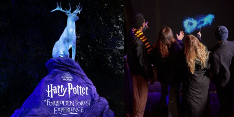 Harry Potter: A Forbidden Forest Experience in Sentosa, Singapore
